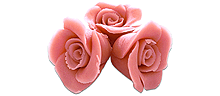Roze rozen 12 stuks