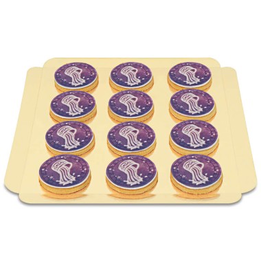 Sterrenbeeld waterman koekjes (12 Stuks)