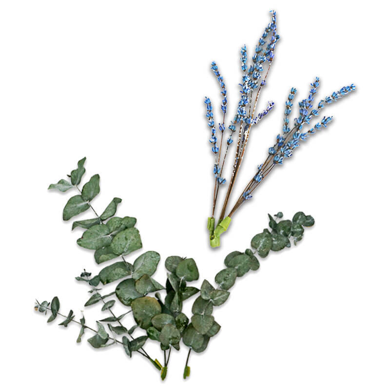 Gedroogde bloemen eucalyptus en lavendel lila-blauw